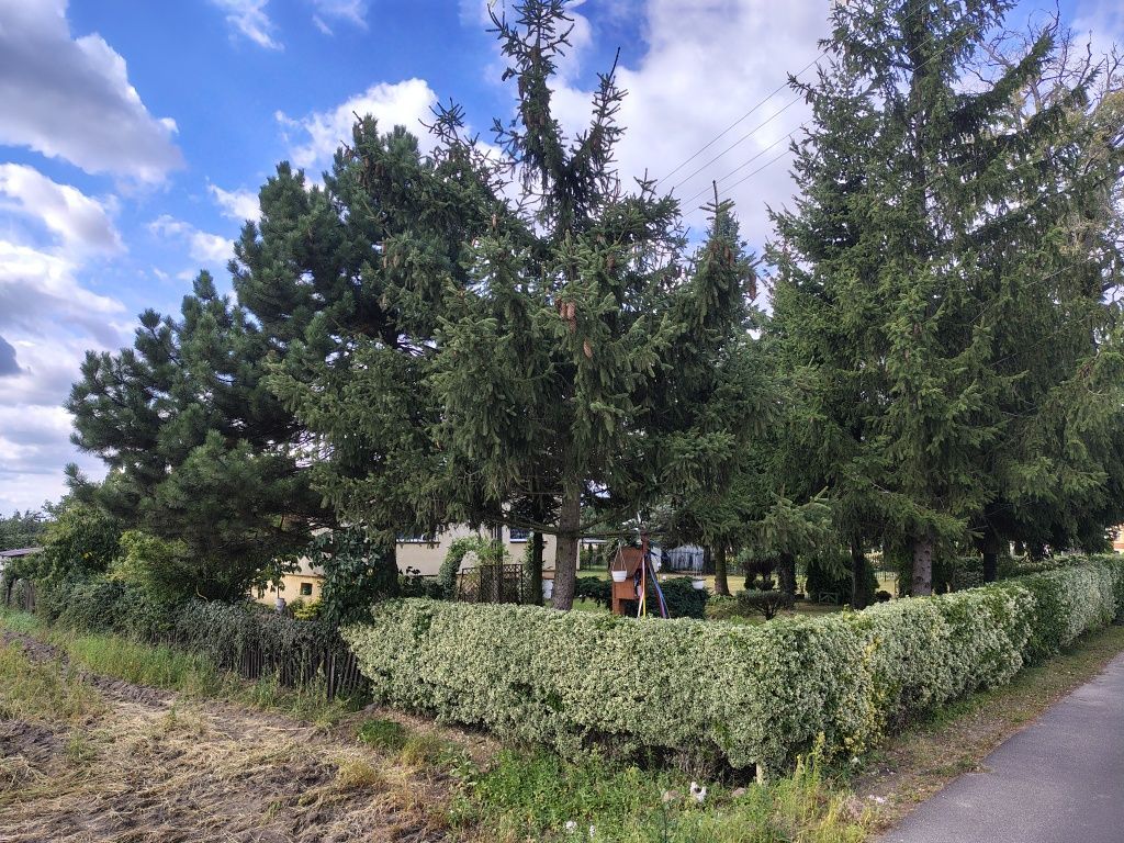 dom wolnostojący, 3 pokoje Zaryń. Zdjęcie 7