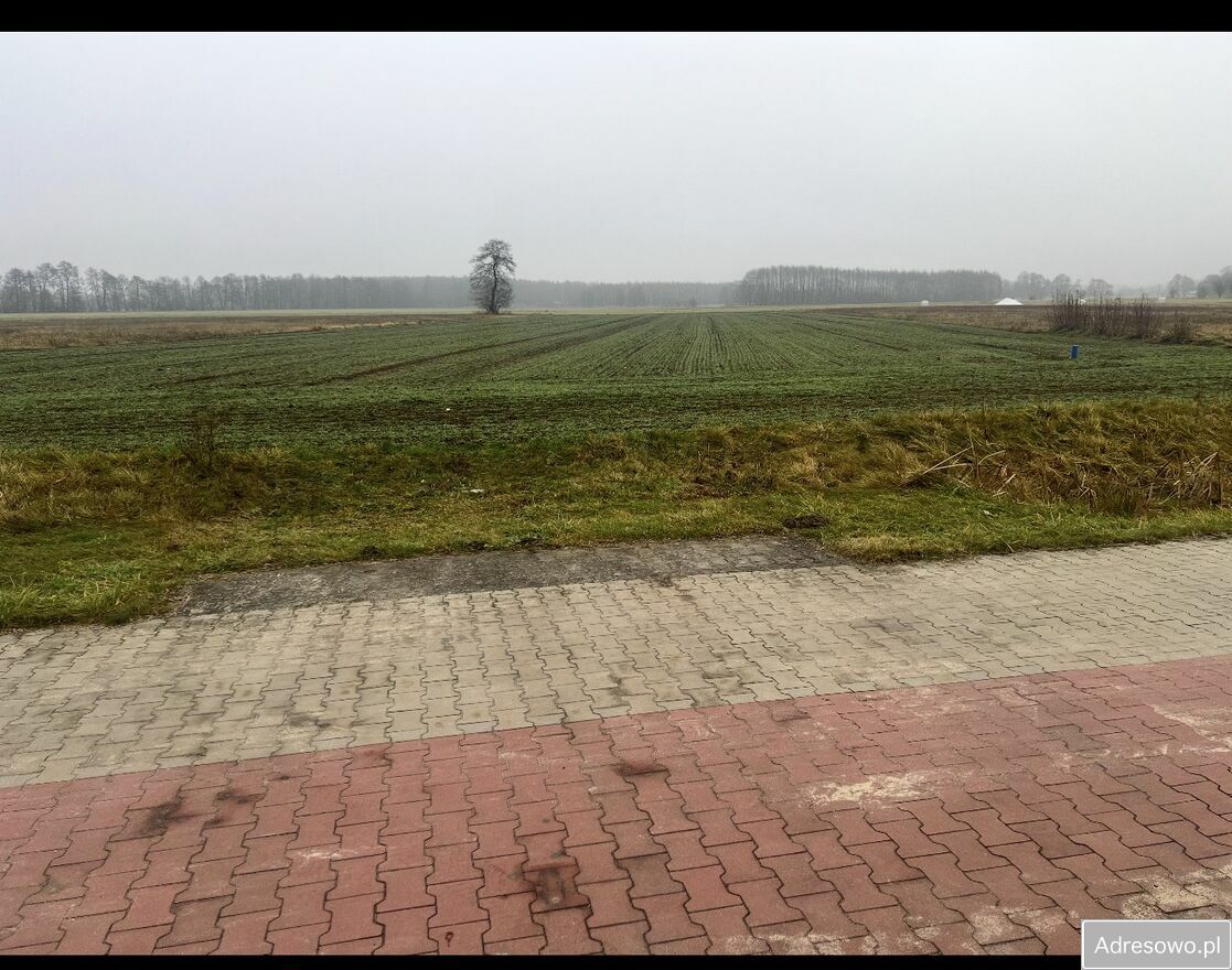 Działka rolna Karsznice. Zdjęcie 3