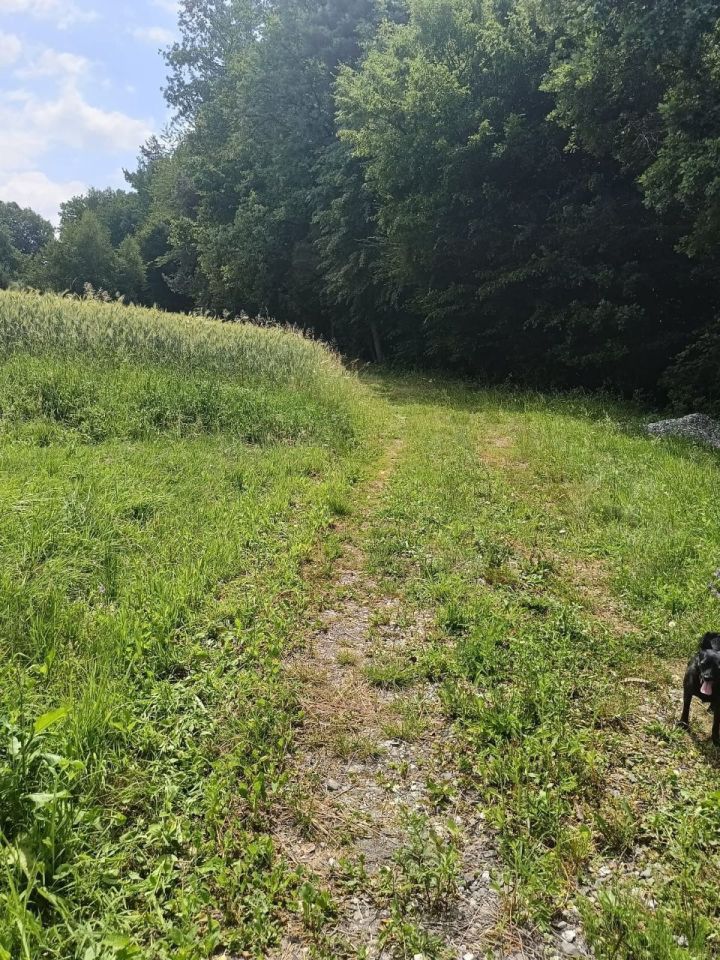 Działka budowlana Łomna. Zdjęcie 2