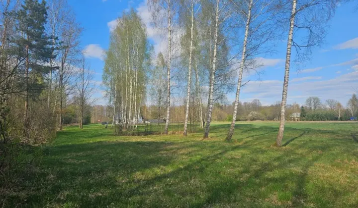 Działka budowlana Oleksin