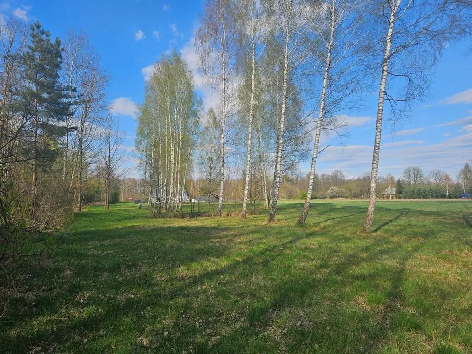 Działka budowlana Oleksin. Zdjęcie 1