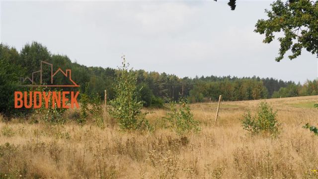 Działka rolna Karsino. Zdjęcie 6