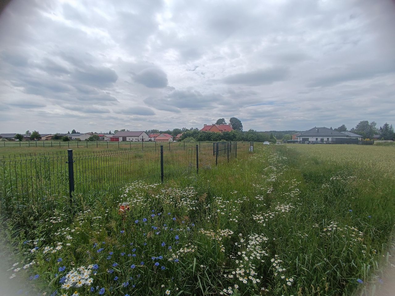 Działka inna Krężna kolonia. Zdjęcie 9