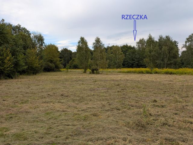 Działka budowlana Dąbrówka Wielka, ul. Leśna. Zdjęcie 20
