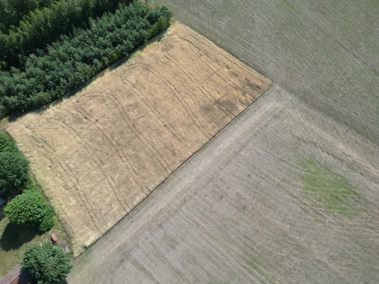 Działka budowlana Jerominy. Zdjęcie 4