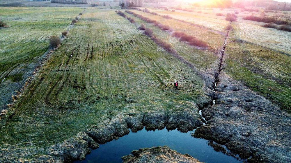 Działka rolno-budowlana Bogusze. Zdjęcie 6