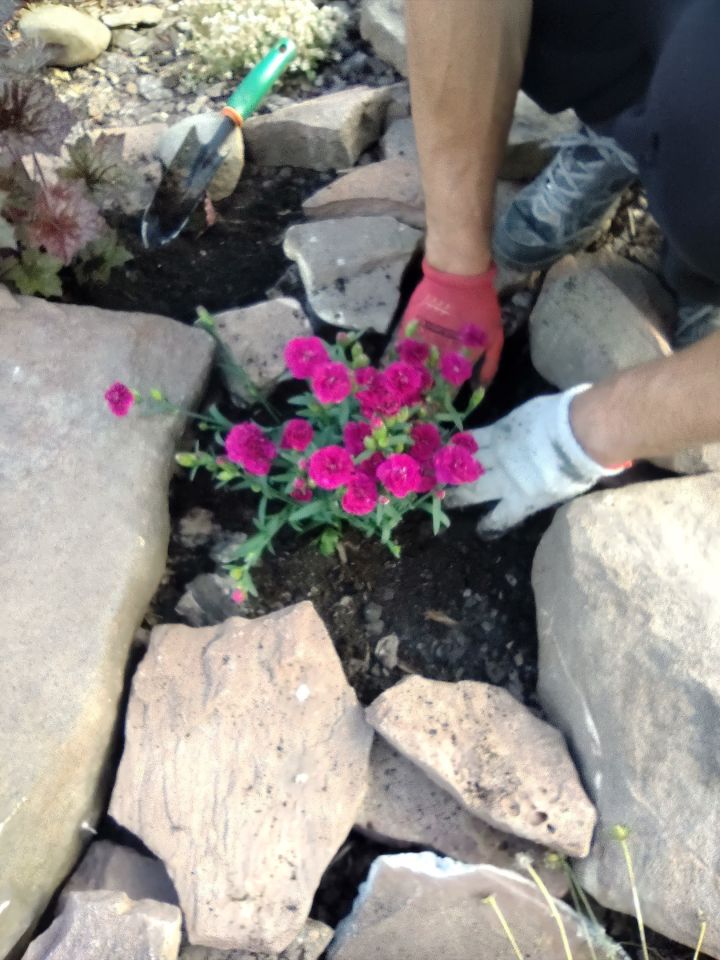 dom wolnostojący, 6 pokoi Mniów Raszówka, ul. Raszówka. Zdjęcie 30