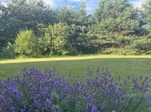 dom wolnostojący Wiązowna. Zdjęcie 2