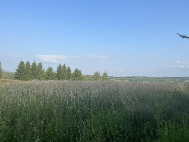 Działka budowlana Ołpiny. Zdjęcie 3