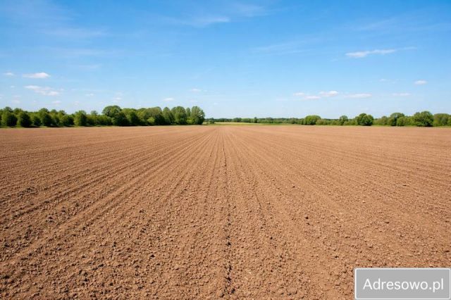Działka rolna Kuźnica Ługowska. Zdjęcie 1