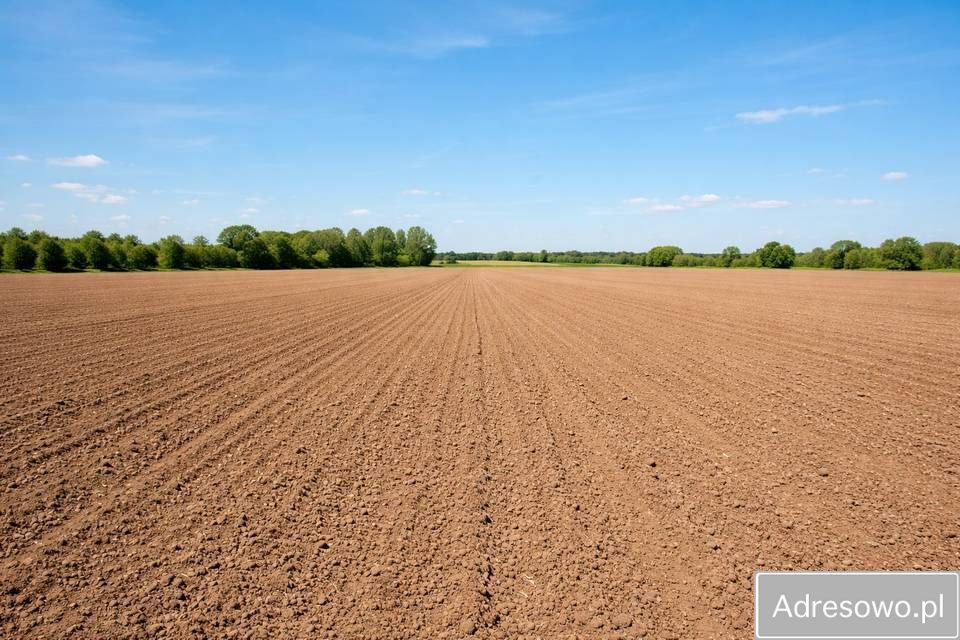 Działka rolna Kuźnica Ługowska. Zdjęcie 1