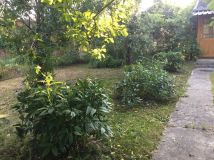 Działka rod Komorów. Zdjęcie 4