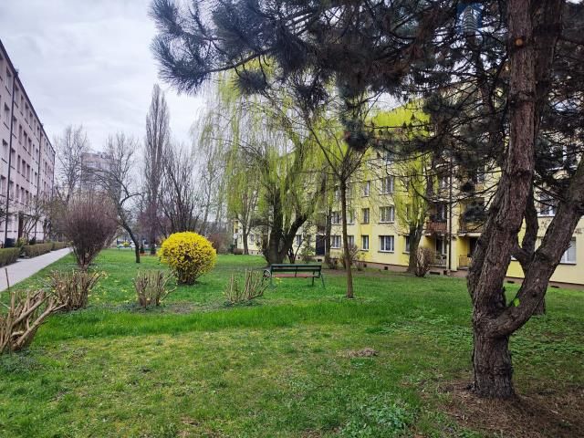 Mieszkanie 3-pokojowe Gliwice Sikornik, ul. Kormoranów. Zdjęcie 15