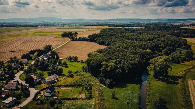 Działka budowlana Panków. Zdjęcie 1