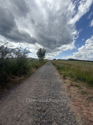 Działka inwestycyjna Olszyny. Zdjęcie 7