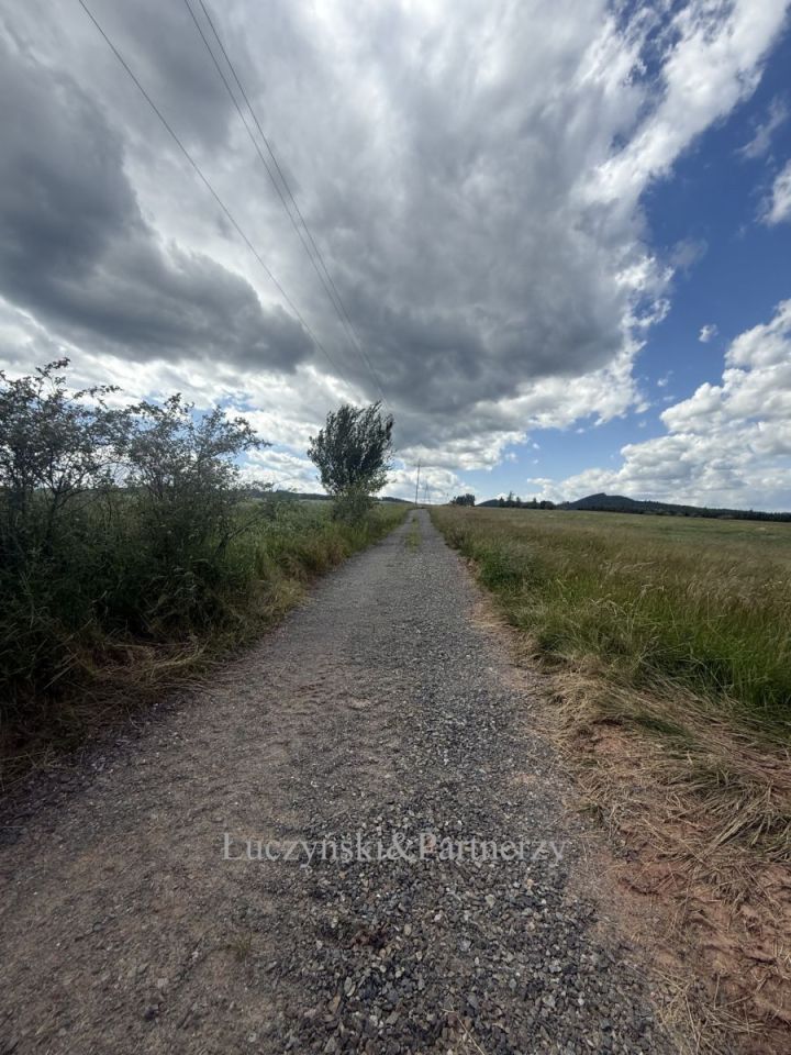 Działka inwestycyjna Olszyny. Zdjęcie 7