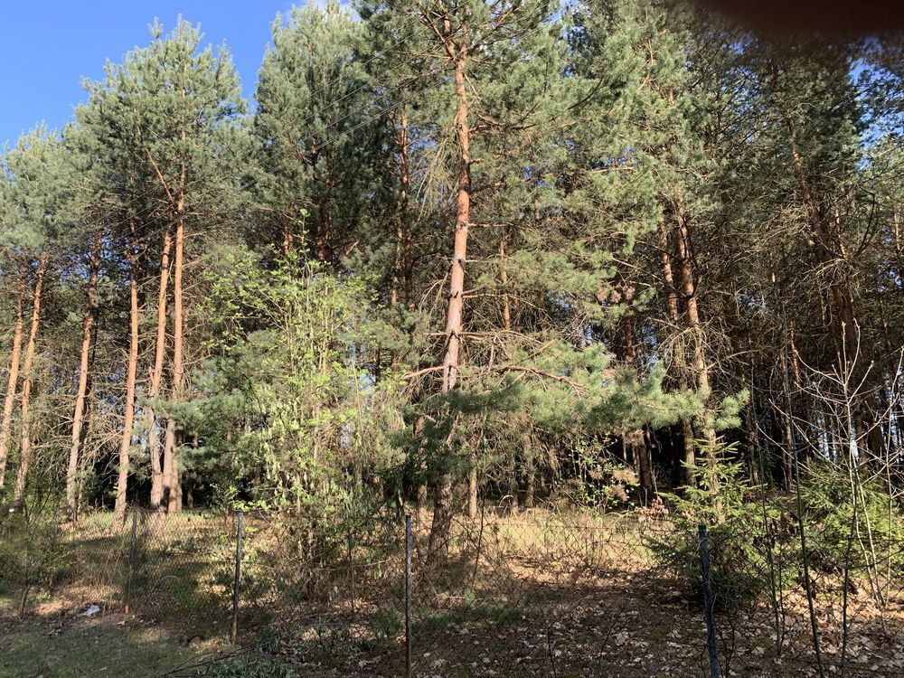 Działka budowlana Chrustne. Zdjęcie 2