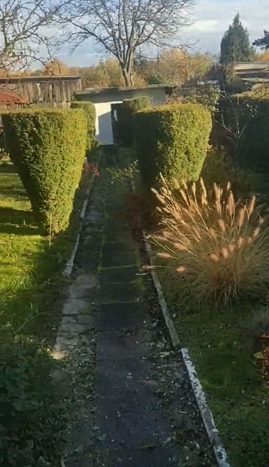 Działka rod Bytom, ul. Brzezińska. Zdjęcie 1