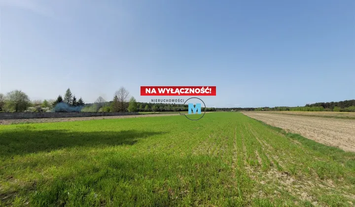 Działka rolna Zdanowice