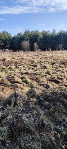 Działka budowlana Izabelów. Zdjęcie 1