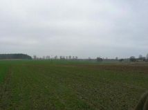 Działka rolna Ługowina. Zdjęcie 4