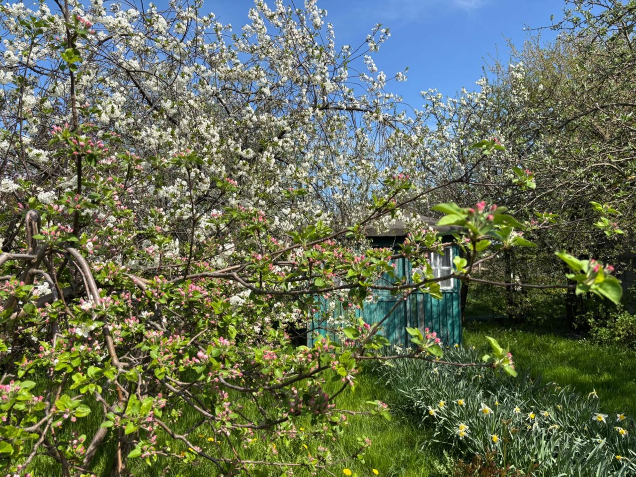 Działka rod Gdańsk Olszynka