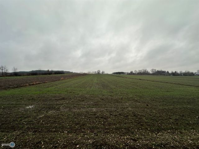 Działka Kostera. Zdjęcie 12