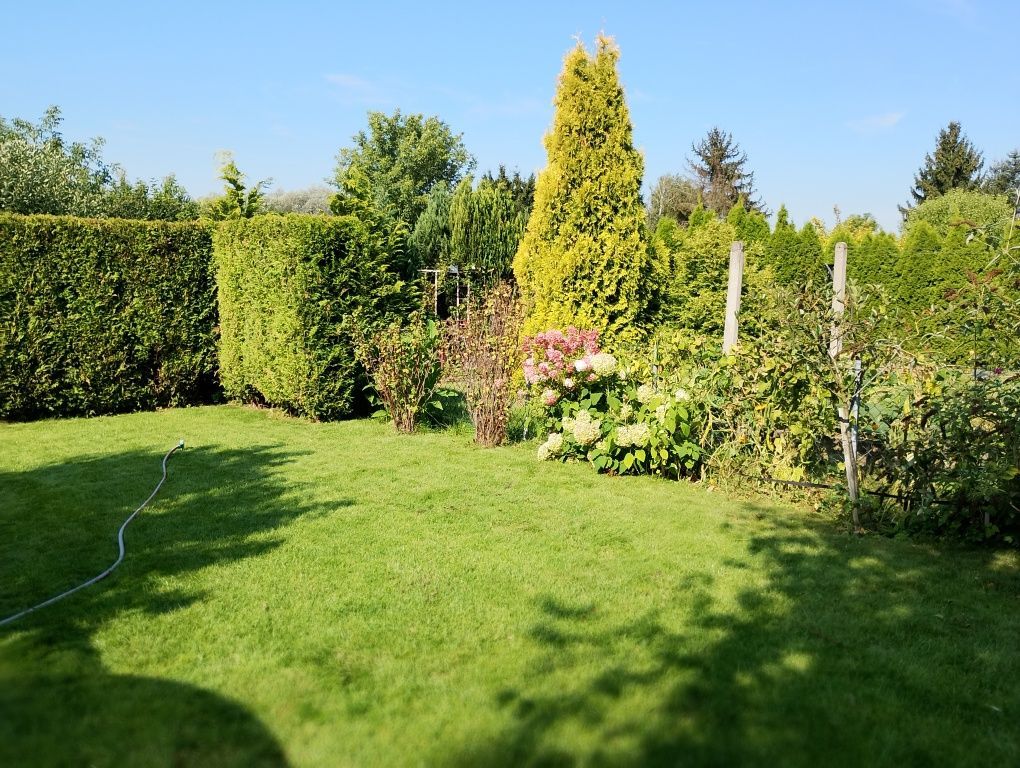 Działka rod Brodnica. Zdjęcie 1