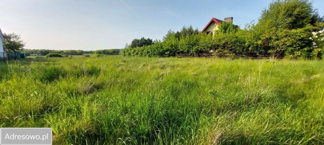 Działka rolno-budowlana Sarbsk. Zdjęcie 1