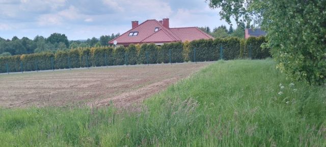 Działka rolno-budowlana Osobnica. Zdjęcie 1