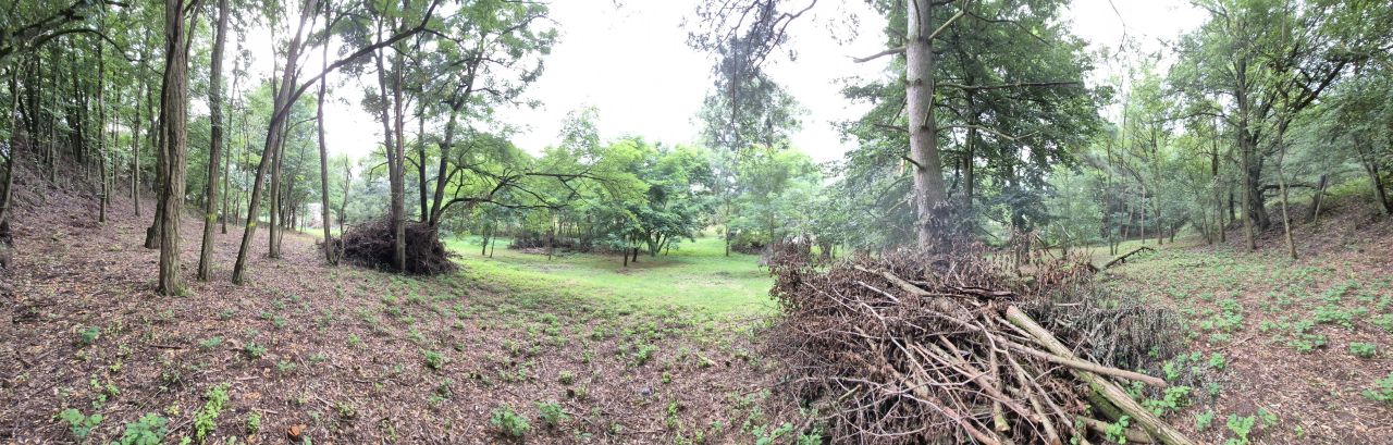 Działka rolno-budowlana Zgoda. Zdjęcie 5