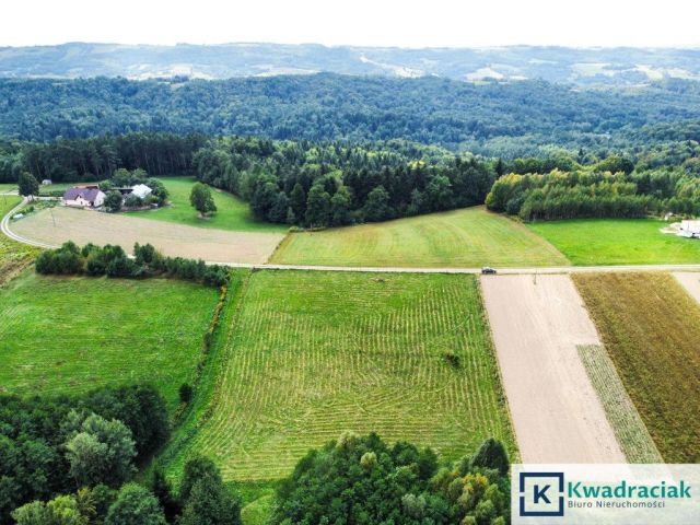 Działka budowlana Huta Gogołowska. Zdjęcie 6