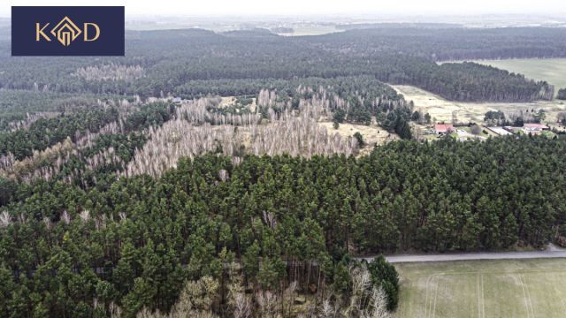 Działka inwestycyjna Dąbrowa Nowa. Zdjęcie 10