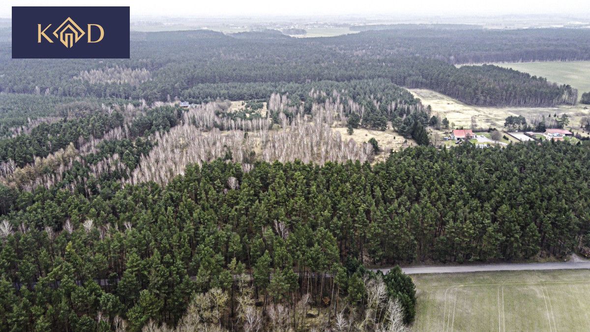 Działka inwestycyjna Dąbrowa Nowa. Zdjęcie 10