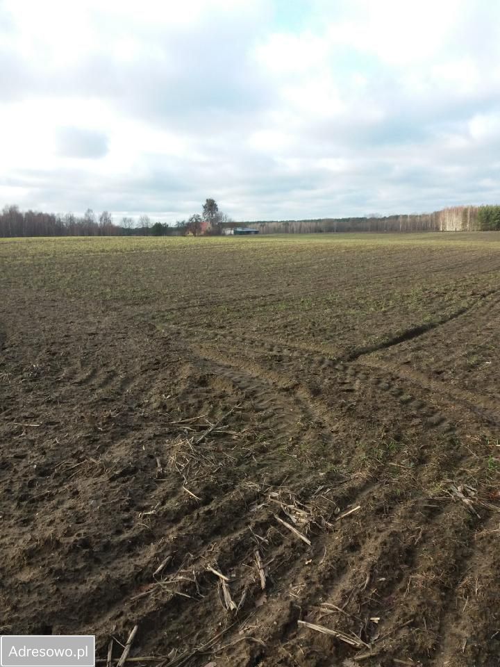 Działka budowlana Mszano. Zdjęcie 3