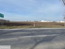 Działka inwestycyjna Wierzbice, ul. Oławska. Zdjęcie 4