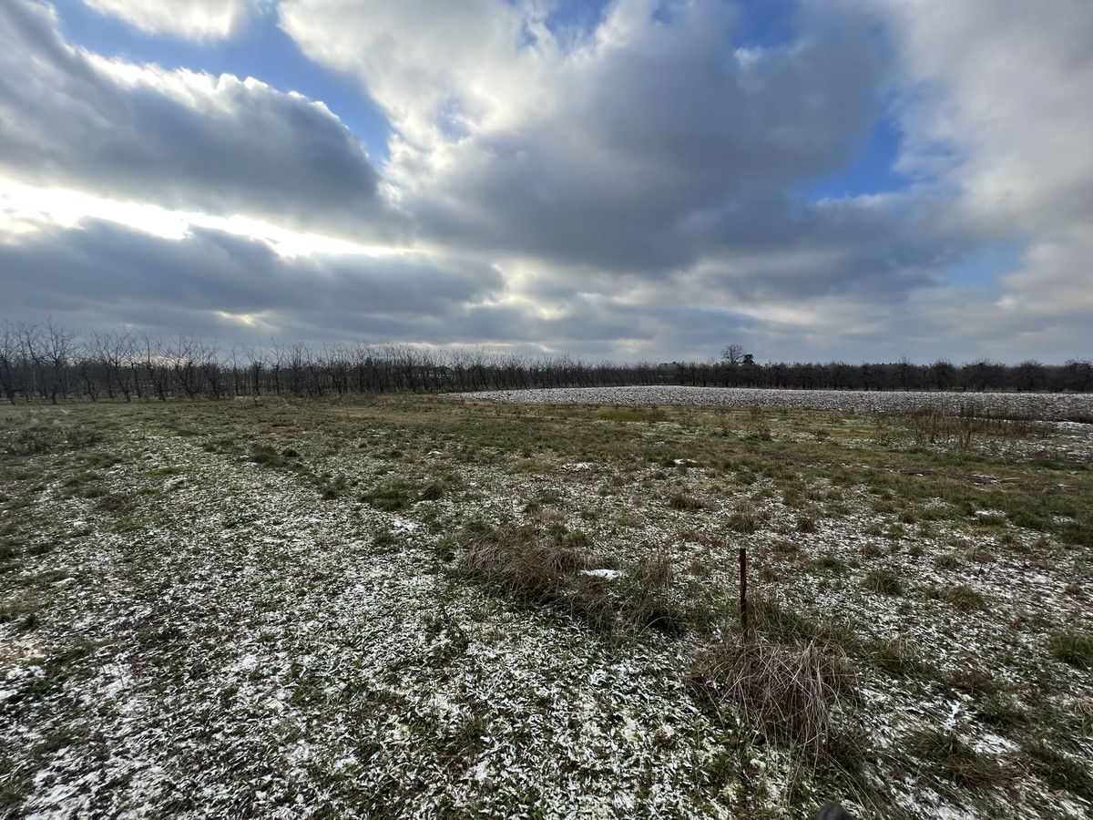 Działka rolna Glinki. Zdjęcie 3