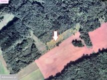 Działka rolna Majewo. Zdjęcie 3