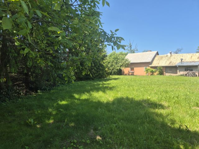 Działka siedliskowa Rychliki. Zdjęcie 11