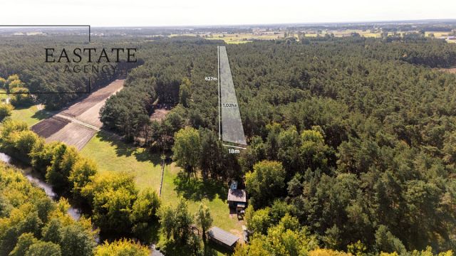 Działka leśna Maurzyce. Zdjęcie 1