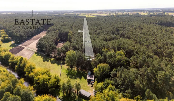 Działka leśna Maurzyce