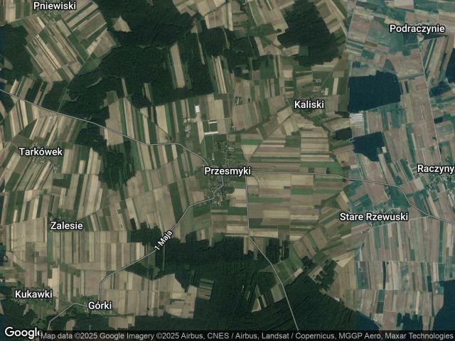 Działka leśna Przesmyki. Zdjęcie 1