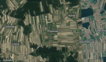 Działka leśna Przesmyki