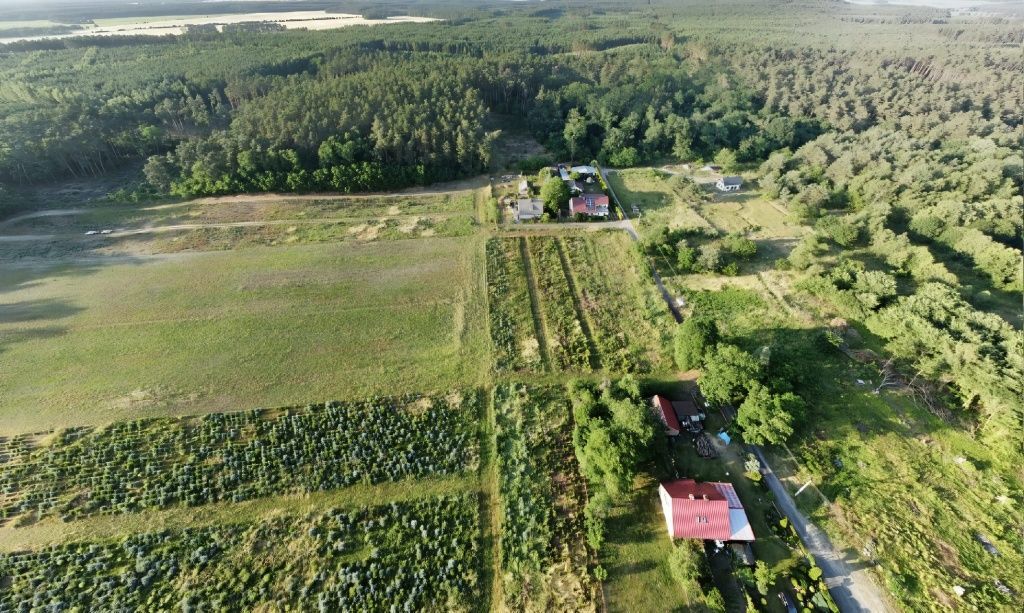 Działka budowlana Mierczany. Zdjęcie 4