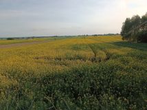 dom wolnostojący, 3 pokoje Marynin. Zdjęcie 1