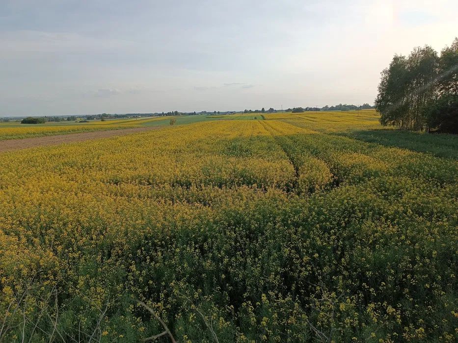 dom wolnostojący, 3 pokoje Marynin. Zdjęcie 2