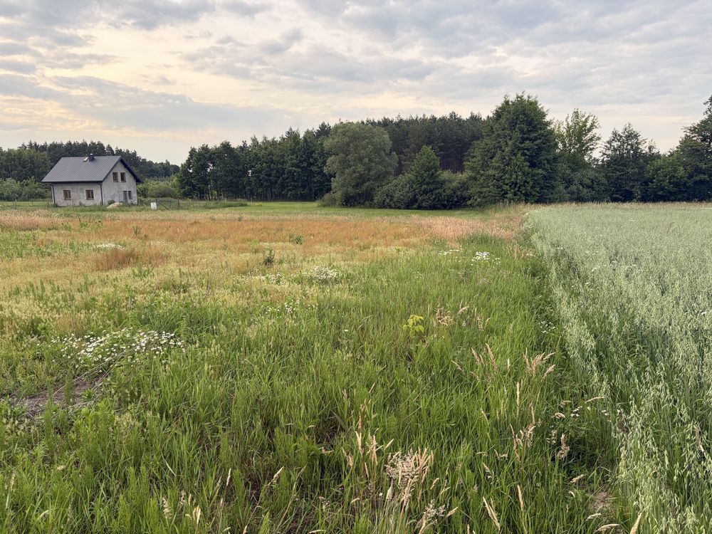 Działka budowlana Gąsocin, ul. Graniczna. Zdjęcie 4
