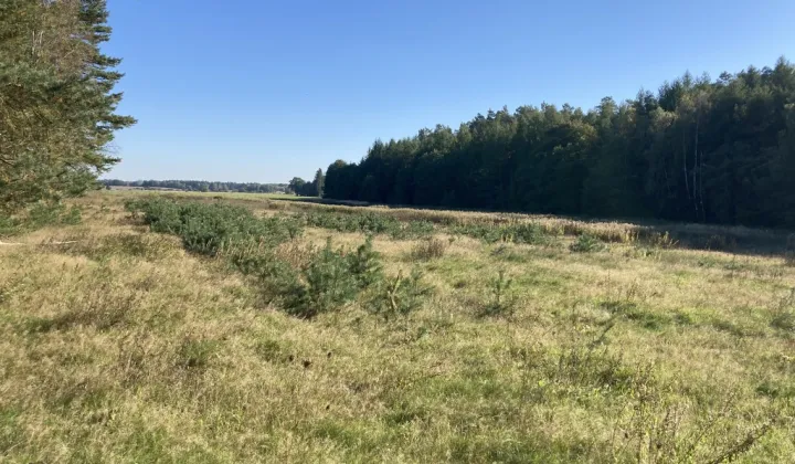 Działka rolna Krzepocin