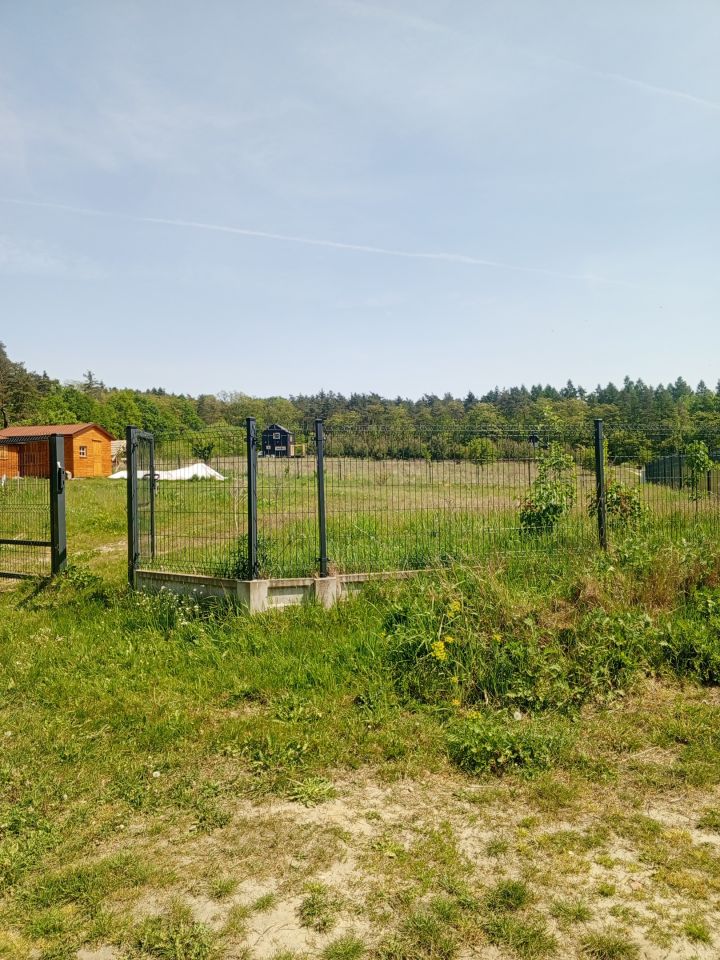 Działka budowlana Niedary. Zdjęcie 3