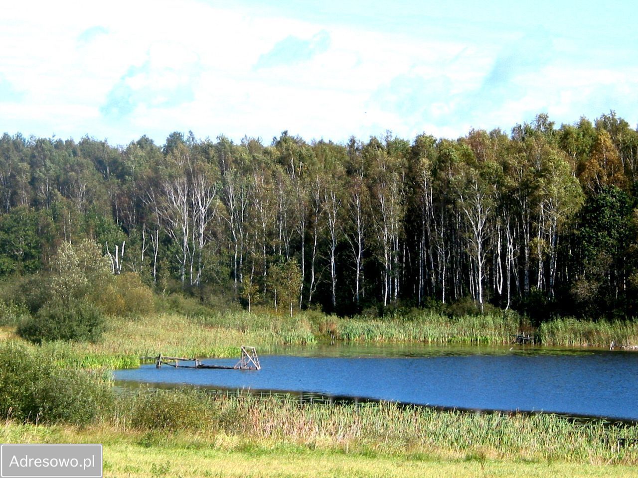 Działka rolna Chomino. Zdjęcie 11